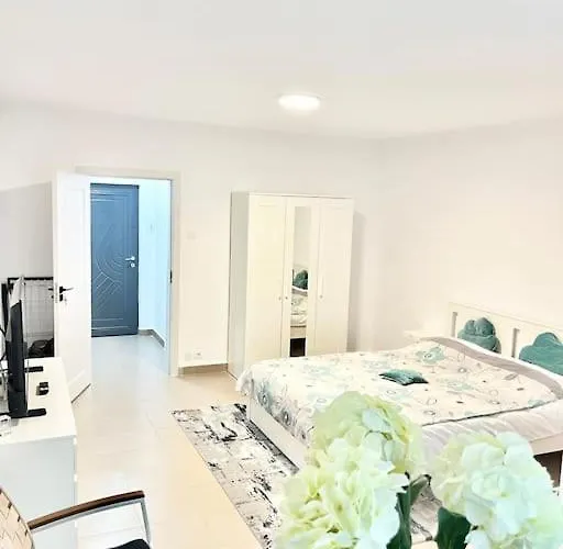 Studio Spatios Plaza Mall, Park Drumul Taberei