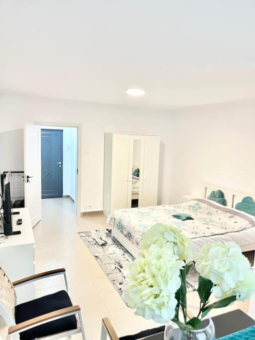 Spatios Plaza Mall, Park Drumul Taberei Apartament
